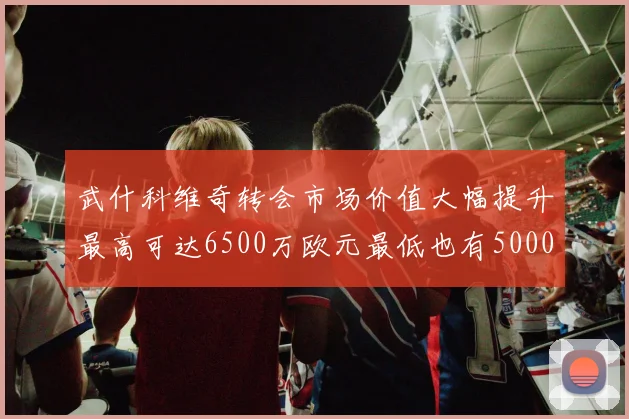 武什科维奇转会市场价值大幅提升最高可达6500万欧元最低也有5000万欧元